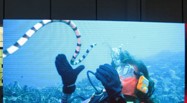 美股四次熔斷,會對室內全彩led顯示屏行業造成怎樣的影響呢